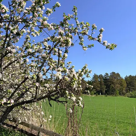 Verstas Kustavi